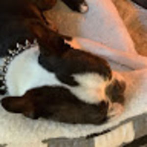 Meet your Posher, Olivia